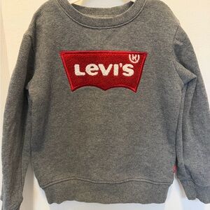 Levi's KidsGray Sweater